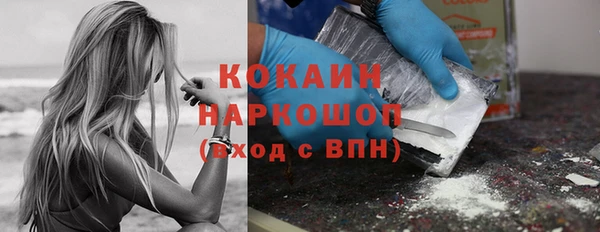 прущий лед Алзамай