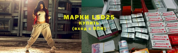 прущий лед Алзамай