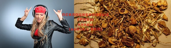 прущий лед Алзамай